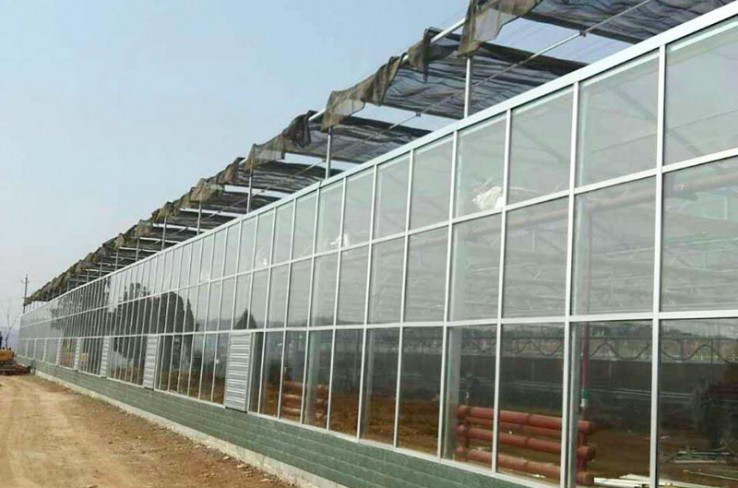 Glass greenhouse