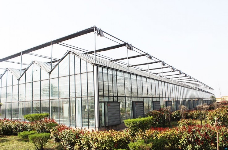 Glass greenhouse