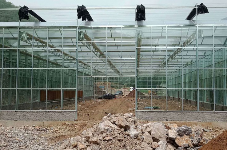 Glass greenhouse