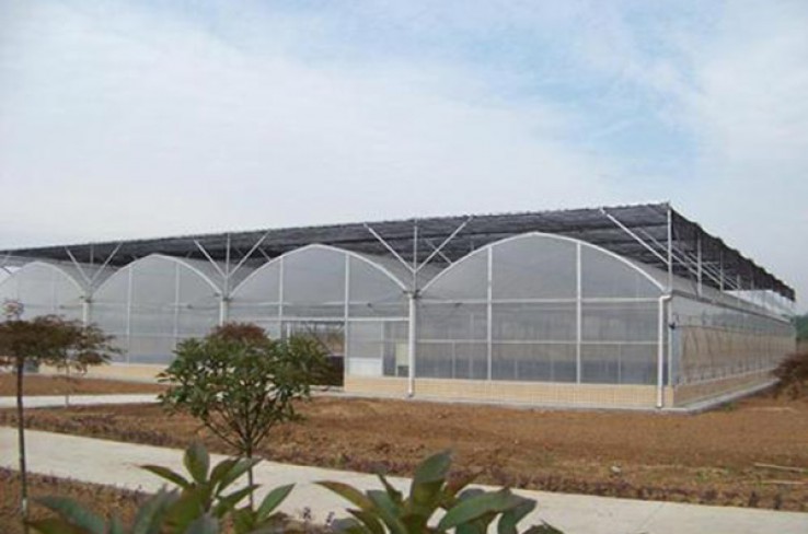 Multi-span greenhouse