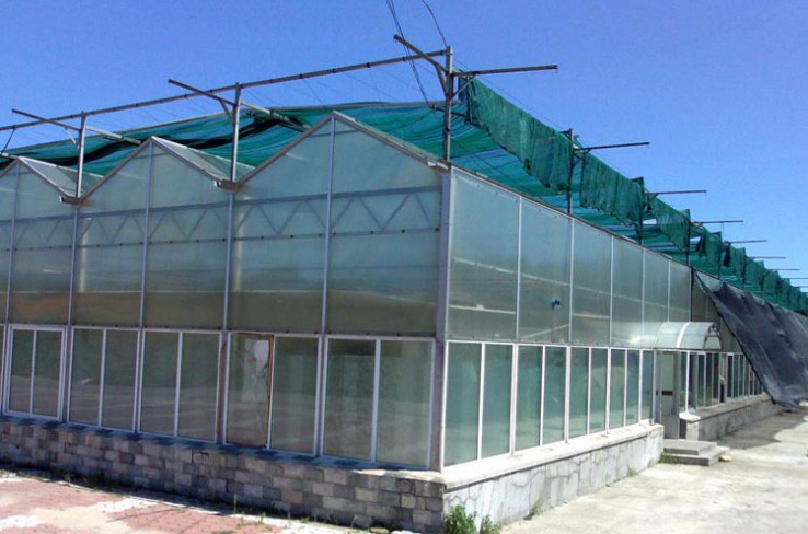 Solar panel greenhouse