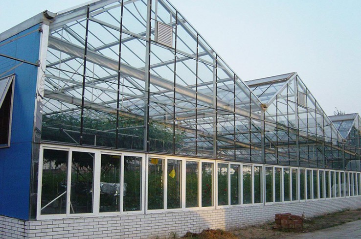 Glass greenhouse