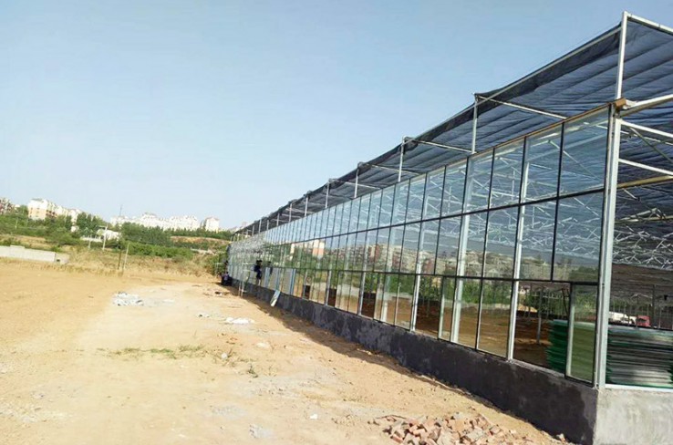 Glass greenhouse