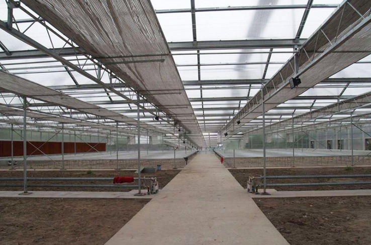 Glass greenhouse